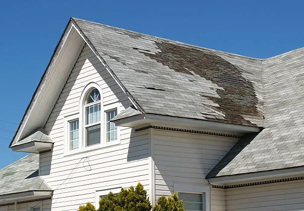 Roof Painting Experts in Nawton