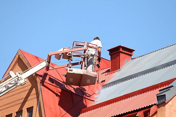 Hamilton painters for roof